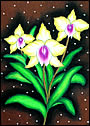 World of Colours Art Programme - Flower, Orhid