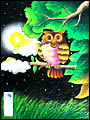 World of Colours Art Programme, Owl, Night, Moonlight